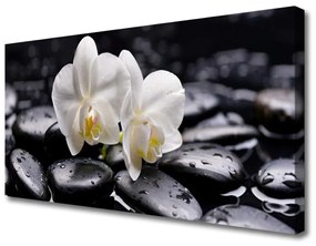 Obraz Canvas Kamene zen biela orchidea 100x50 cm