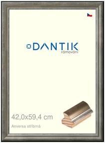 DANTIK rám na obraz 42x59,4 | ANIVERSA stříbrná (Plexi Čiré)