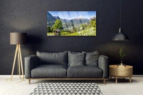 Obraz na akrylátovom skle Hora pole príroda 100x50 cm