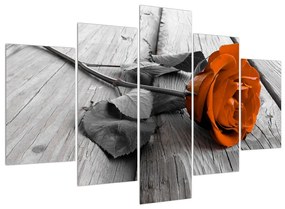Obraz oranžovej ruže (150x105 cm)