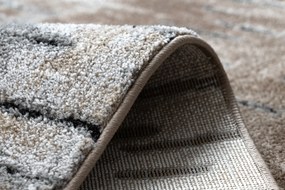 Moderný koberec COZY 8876 Rio, hnedý