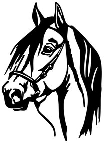 Nástenná dekorácia 55x40 cm kôň kov