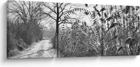 Obraz - Pole v zime (s hodinami) (90x30 cm)