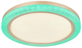 Globo 41372-24 - LED RGBW Stmievateľné stropné svietidlo BOLLY LED/20W/230V + DO