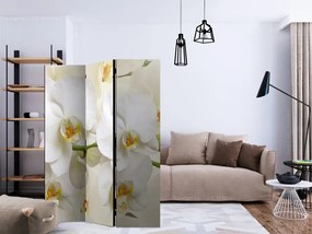 Artgeist Paraván - Orchid Branch [Room Dividers]