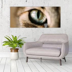 Obraz - Mačacie oko (120x50 cm)
