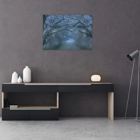 Obraz lesa v hmle (70x50 cm)