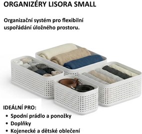 Rotho Úložný box do zásuvky, šatníkový organizér LISORA SMALL, 25,8 x 10,3 x 10 cm