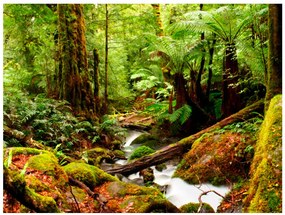 Artgeist Fototapeta - Rainforest Veľkosť: 400x309, Verzia: Standard