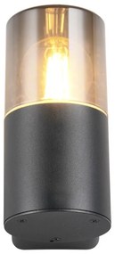 Vonkajšie svietidlo (výška 17,5 cm) Hoosic – Trio