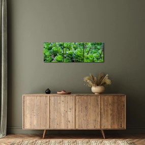Obraz sukulentov (s hodinami) (90x30 cm)