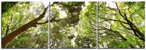 Obraz na plátne - Zelené stromy v lese - panoráma 5194B (120x40 cm)