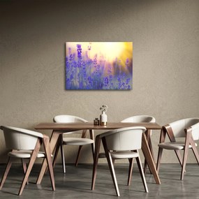 Obraz - Levanduľa (70x50 cm)