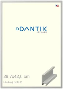 DANTIK rám na obraz 29,7x42 | ALU Dýha barevná šedá (Plexi Čiré)