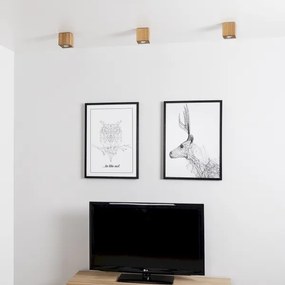 Spot-Light 2076174 - Stropné svietidlo WOODDREAM 1xGU10/6W/230V