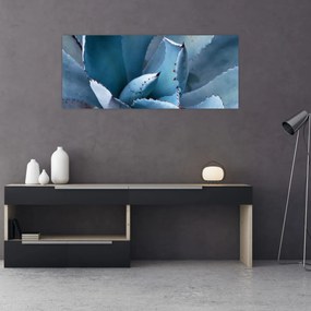 Obraz - Agáve (120x50 cm)