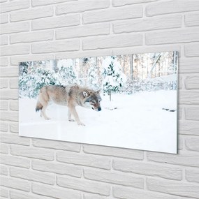 Nástenný panel  Vlk v zime lese 120x60 cm