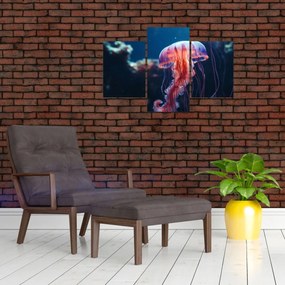 Obraz - Medúzka (90x60 cm)