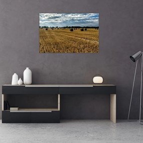 Obraz zozbieraného obilného poľa (90x60 cm)