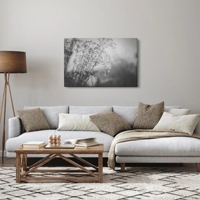 Obraz - Lúka po daždi (90x60 cm)