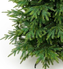 Smrek Kaukazský 3D- 130cm