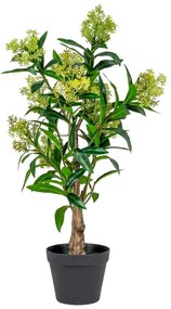 Umelá rastlina Skimmia – House Nordic
