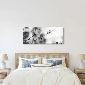 Obraz - Čiernobiele kvety (120x50 cm)