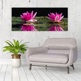 Obraz lekien na vode (120x50 cm)