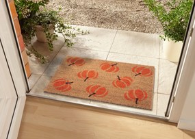 Hanse Home Collection koberce Rohožka Mix Mats Cocos 105677 - 45x75 cm