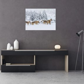 Obraz - Vlci v horách (70x50 cm)
