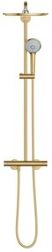 GROHE 26075GN0 - Sprchový systém EUPHORIA 310 450 mm zlatý