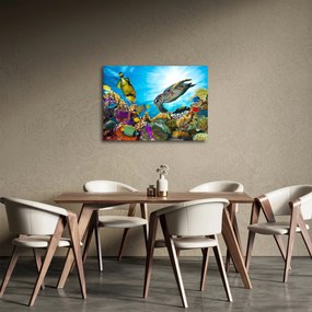 Obraz koralového útesu (70x50 cm)