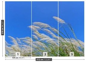 Fototapeta Vliesová Modrá tráva 208x146 cm
