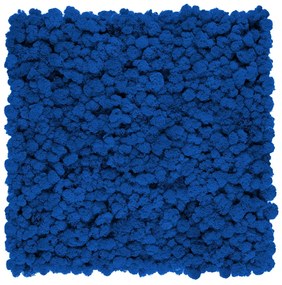 Stabilizovaný fínsky (sobí) mach 250g- modrý