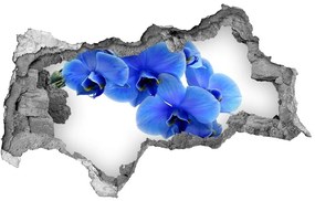 Samolepiaca diera nálepka Modrá orchidea nd-b-91549599
