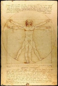 Plagát, Obraz - Leonardo Da Vinci - Vitruvian Man, (61 x 91.5 cm)