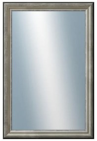 DANTIK - Zrkadlo v rámu, rozmer s rámom 40x60 cm z lišty Anversa strieborná (3152)
