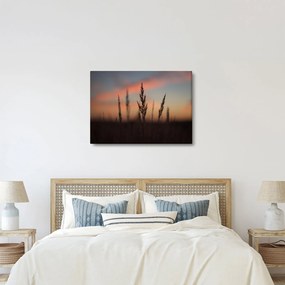 Obraz - Silueta rastliny (70x50 cm)