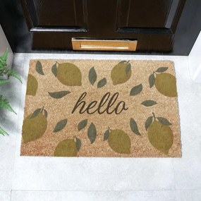 Rohožka z kokosového vlákna 40x60 cm Hello Lemons – Artsy Doormats