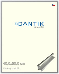 DANTIK rám na obraz 40x50 | ALU Stříbrná matná (Plexi Čiré)