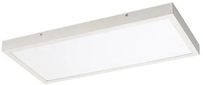 Rabalux 71077 - LED Prisadený panel DAMEK LED/24W/230V 4000K 60x30 cm