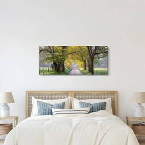 Obraz - Smoky Mountains, Gatlinburg, USA (120x50 cm)