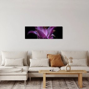 Obraz ľalia (s hodinami) (90x30 cm)