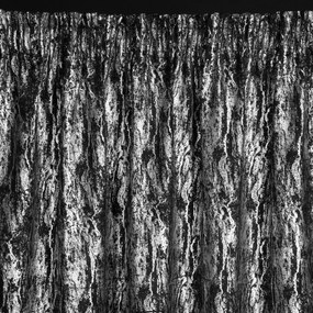 ZATEMŇOVACÍ ZÁVES NA PÁSKE ELISE 140X270 CM ČIERNA