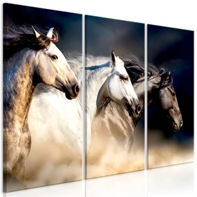 Artgeist Obraz - Sons of the Wind (3 Parts) Veľkosť: 120x80, Verzia: Premium Print