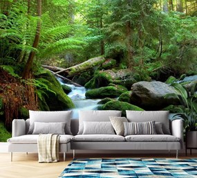 Gario Fototapeta Zelený les Materiál: Vliesová, Rozmery: 450 x 315 cm