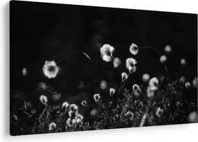 Obraz - Lúka s cottongrass N⁰1 (90x60 cm)