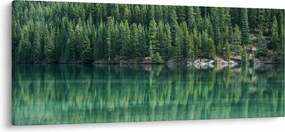 Obraz - Ihličnany pri jazere (120x50 cm)