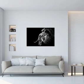 Obraz - Lev, čiernobiela (90x60 cm)