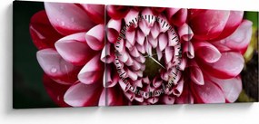 Obraz ružovej Dahlie (s hodinami) (90x30 cm)